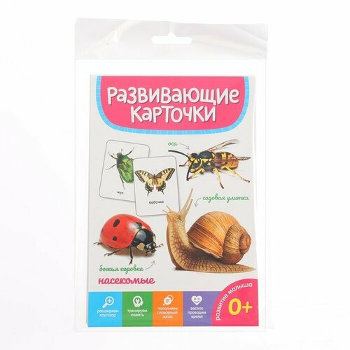 Развивающие карточки «Насекомые» развивающие плакаты насекомые