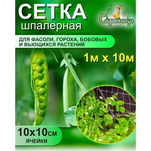 Сетка шпалерная для фасоли и гороха 1*10м (Хаки)