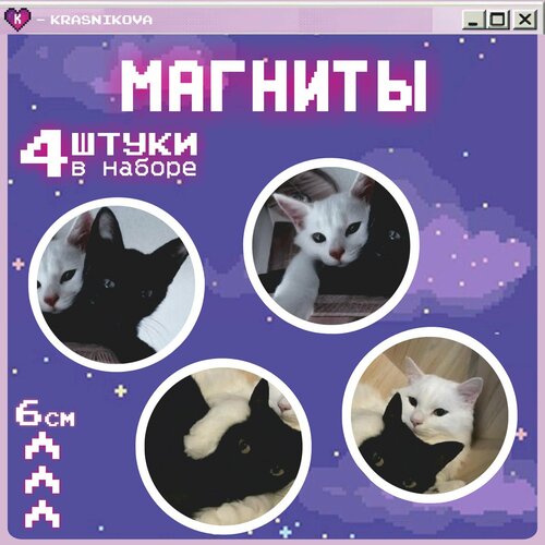 Магниты на холодильник коты мем 399₽