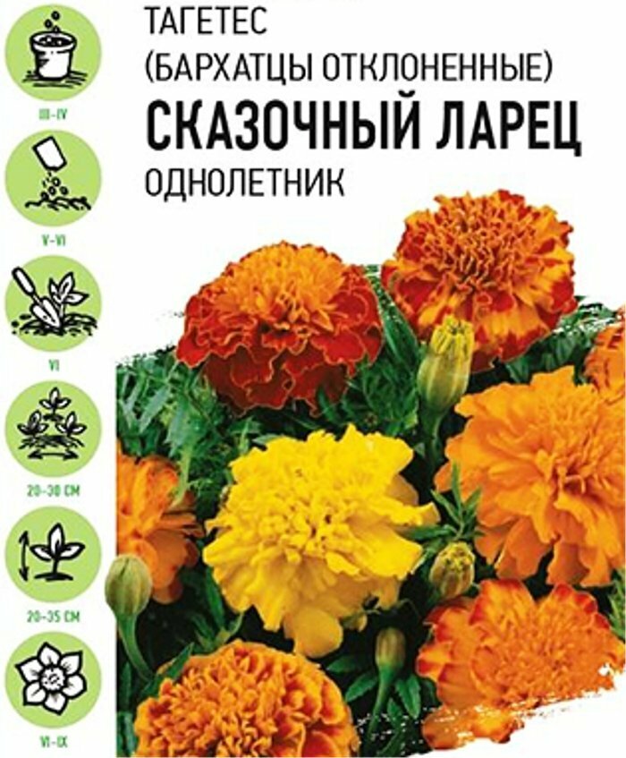 Бархатцы отклоненные Сказочный ларец