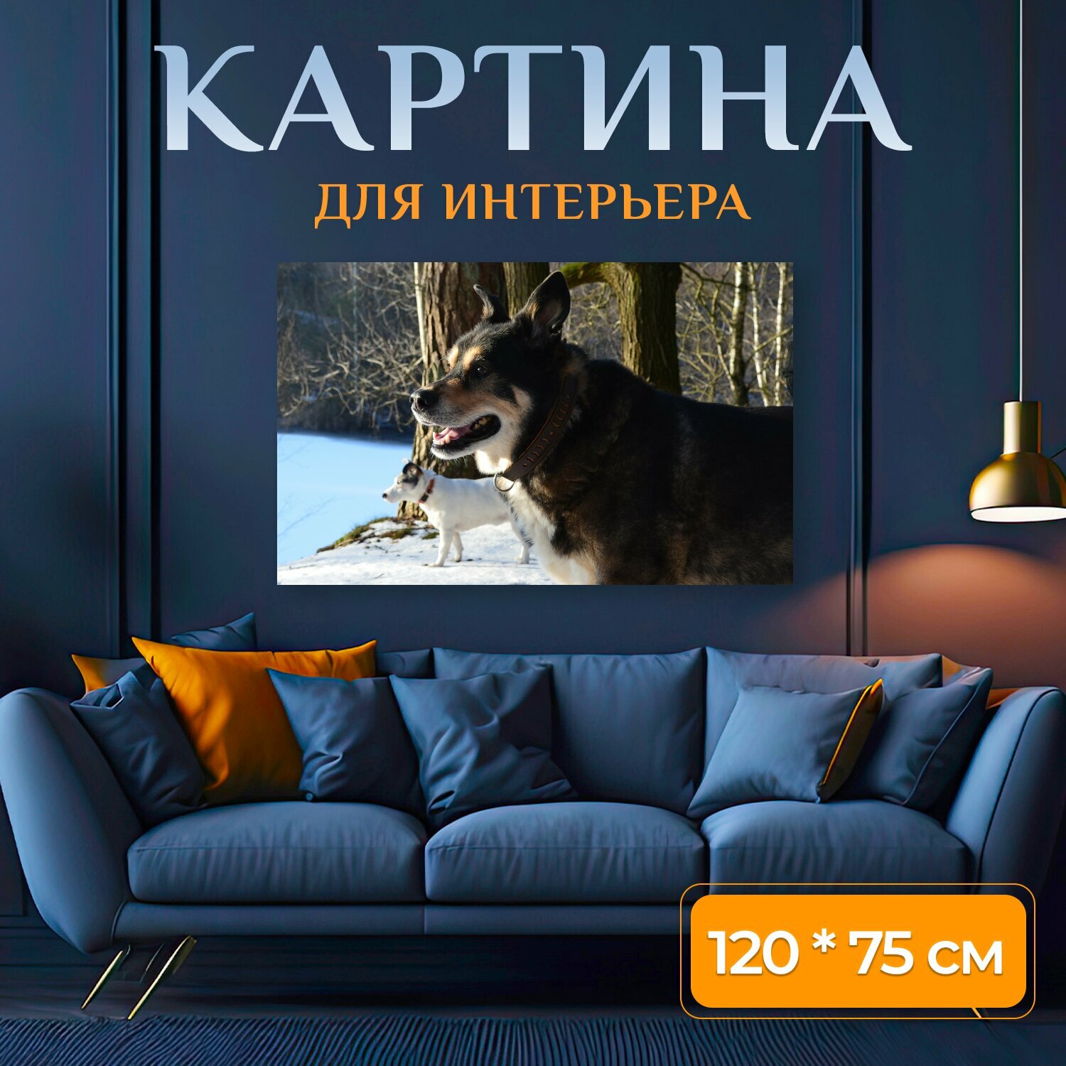Картина на холсте "Хаски, хаски смесь, собака" на подрамнике 120х75 см. для интерьера