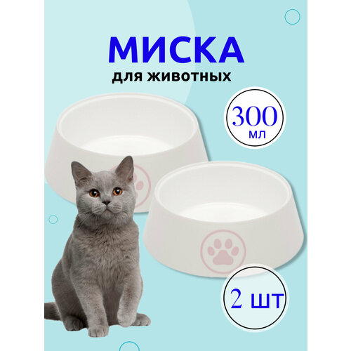 Миска пластиковая для животных собак мелких пород и кошек тарелка кошачья для воды еды и корма Альтернатива Лекси 300 мл белый 2 шт 101₽