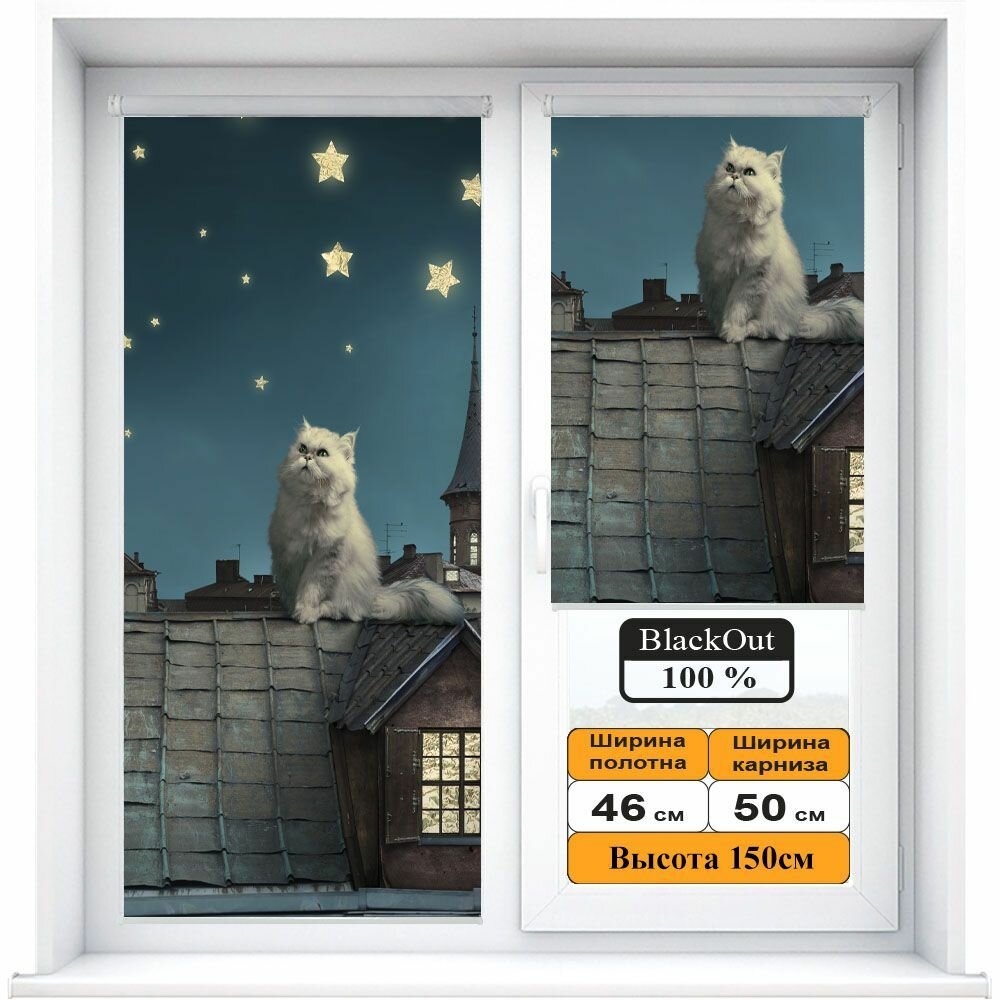 Рулонная штора Блэкаут (Blackout) с фотопечатью Кот на крыше 46х150см