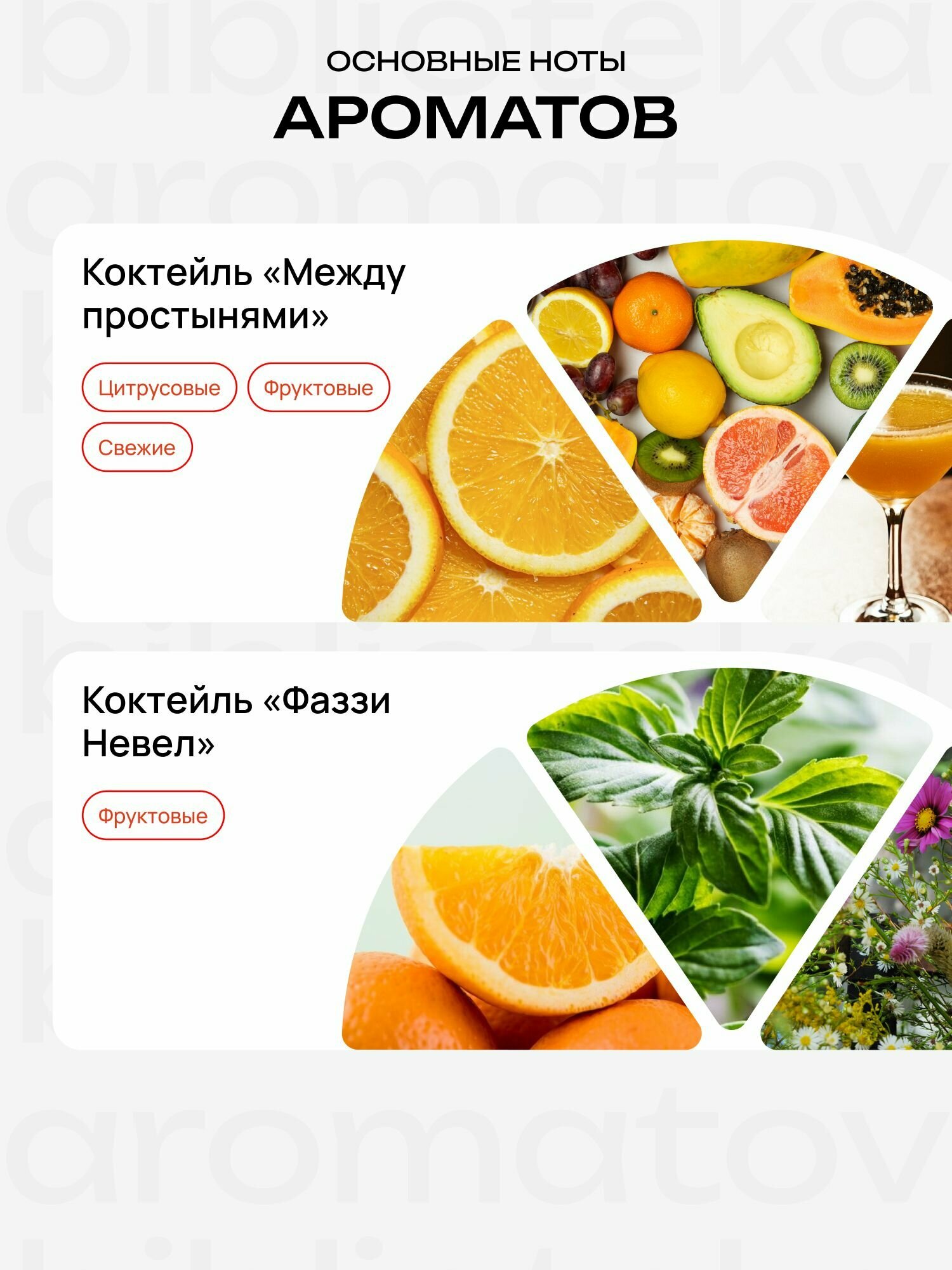 Библиотека ароматов "Бармен, повтори!" Парфюмерный набор 10 ароматов — фото 1