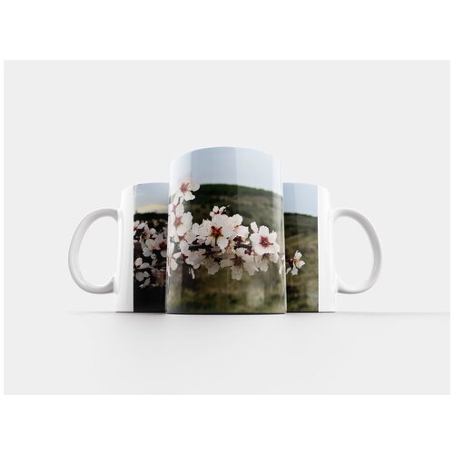 фото Кружка "миндаль, цветок, природа" 320 мл lotsprints
