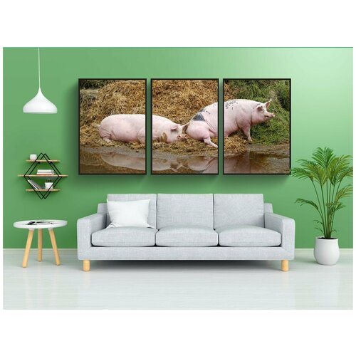 фото Набор модулных постеров для интерьера "свинья, домашняя свинья, фермерский двор" 60x90 см. в тубусе, без рамки lotsprints