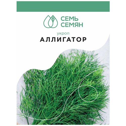 Семена Укроп 