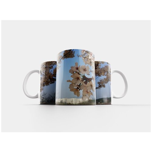 фото Кружка "вишни в цвету, весна, природа" 320 мл lotsprints