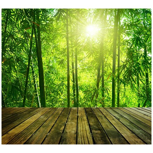 Фотообои Уютная стена Азиатский бамбуковый лес 300х270 см Бесшовные Премиум (единым полотном)