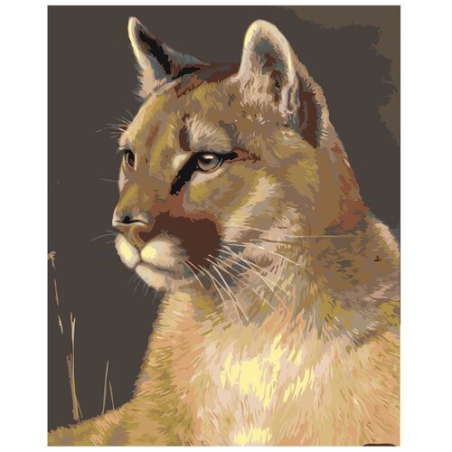 фото Картина по номерам, 60 x 75, z- ab30, "живопись по номерам", набор для раскрашивания, раскраска