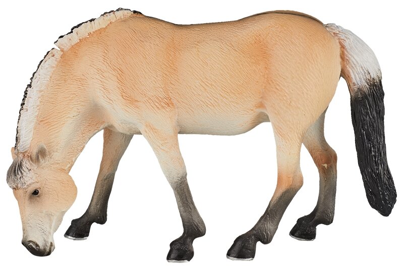 фото Mojo Farmland Кобыла фиордской породы 387148