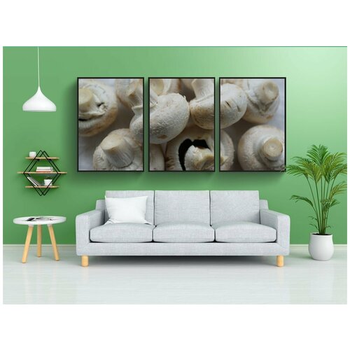 фото Набор модулных постеров для интерьера "грибы, белый гриб, еда" 60x90 см. в тубусе, без рамки lotsprints