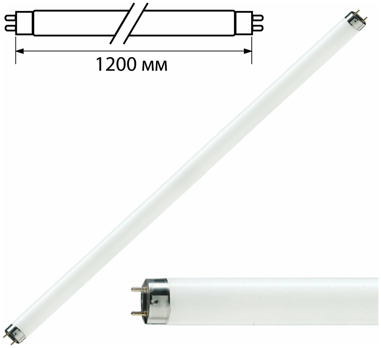 Комплект 5 шт. Лампа люминесцентная PHILIPS TL-D 36W/33-640, 36 Вт, цоколь G13, в виде трубки 120 см