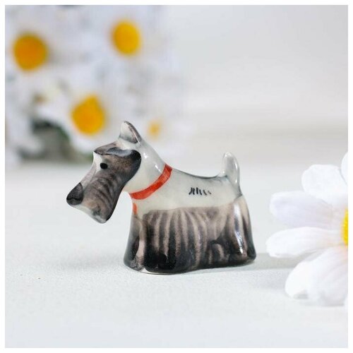 Белая полоса Сувенир 