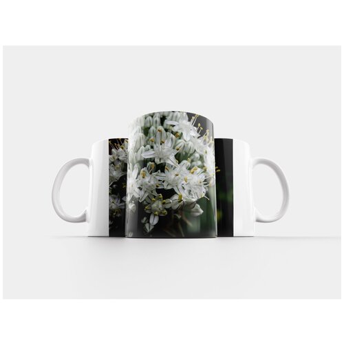 фото Кружка "луковый цветок, сад, овощ" 320 мл lotsprints