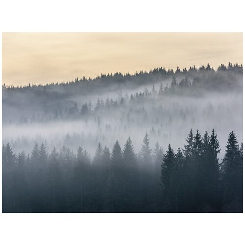 Фотообои Туман на рассвете 360 x 270 м Moda Interio 4-929 10690₽