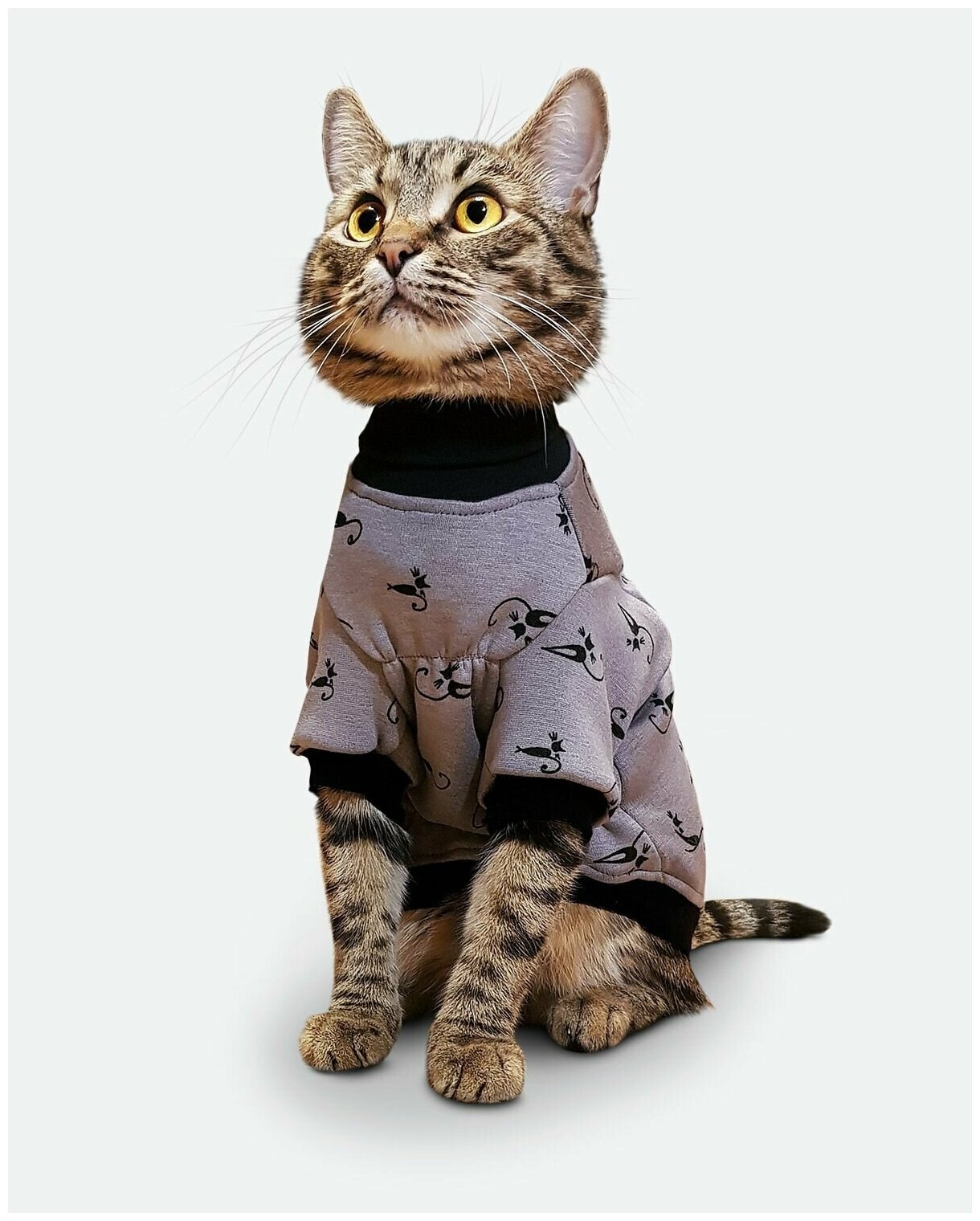 Толстовка одежда для кошек и котов сфинкс "Лиловый кот" - фотография № 2
