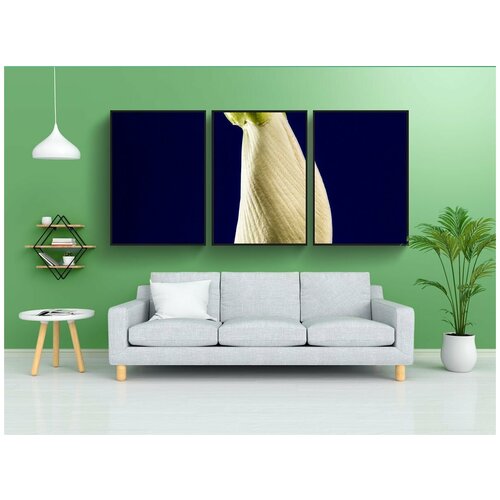 фото Набор модулных постеров для интерьера "сесбания крупноцветковая, цвести, белый" 60x90 см. в тубусе, без рамки lotsprints