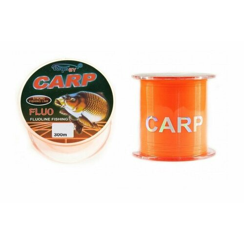 леска 0 25 мм камуфляжная зеленая carp hunter карп хантер reflector camo fluo green 5 8 кг 12 9 lb 300 м Леска Carp FLUO 300 m. d 0.40 mm оранжевая t.25 кг