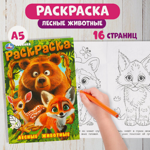 Изображение товара Раскраска для детей Лесные животные, Умка, 16 страниц, формат А5