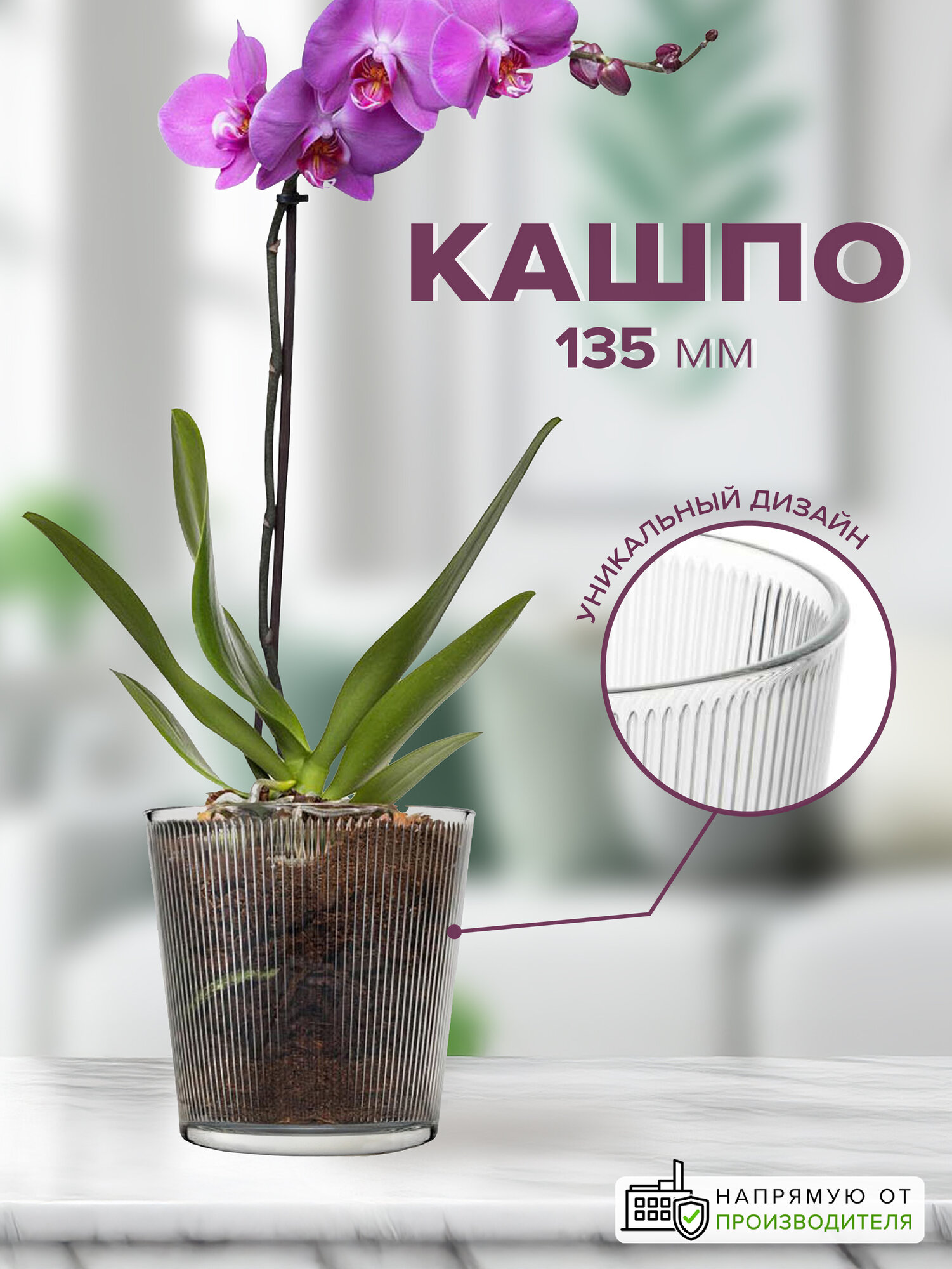 Стеклянное прозрачное кашпо для цветов ботаника полосы Pasabahce