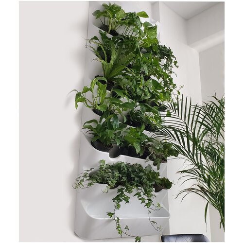 Фитомодуль 