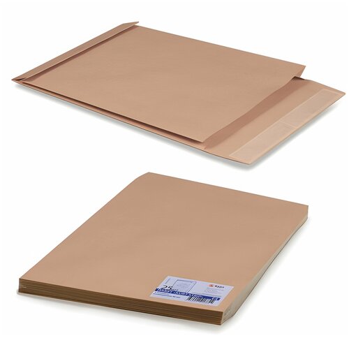 Конверт-пакеты Е4+ объемный (300×400×40 мм) до 300 листов, крафт-бумага, отрывная полоса, комплект 25 шт, 302127.25