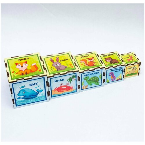 Сортер -пирамидка 