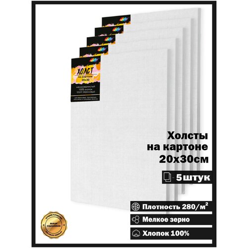 Color Kit / Набор холстов на картоне МДФ / Комплект из 5 штук Холстов на картоне 280 г/м, 20х30 / 5CNX2030