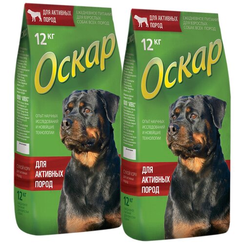 Оскар для активных собак всех пород (12 + 12 кг)