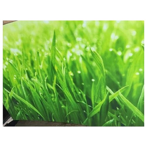 3D панель фартук на стену панель стеновая фартук для кухни, 3,0*0,6м Сочная