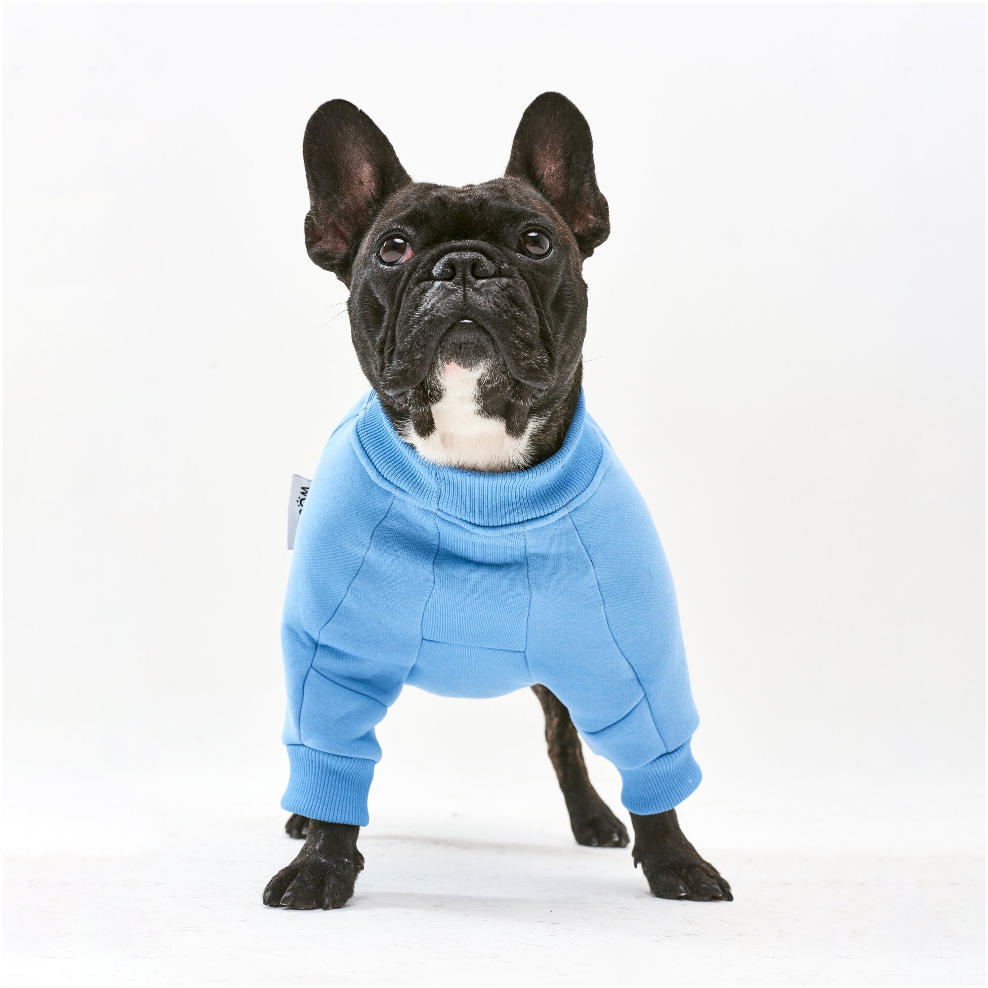 WOOFLER /Свитшот для французского бульдога, бультерьера и амстаффа, толстовка из футера, одежда для собак, цвет голубой, размер S32 - фотография № 3