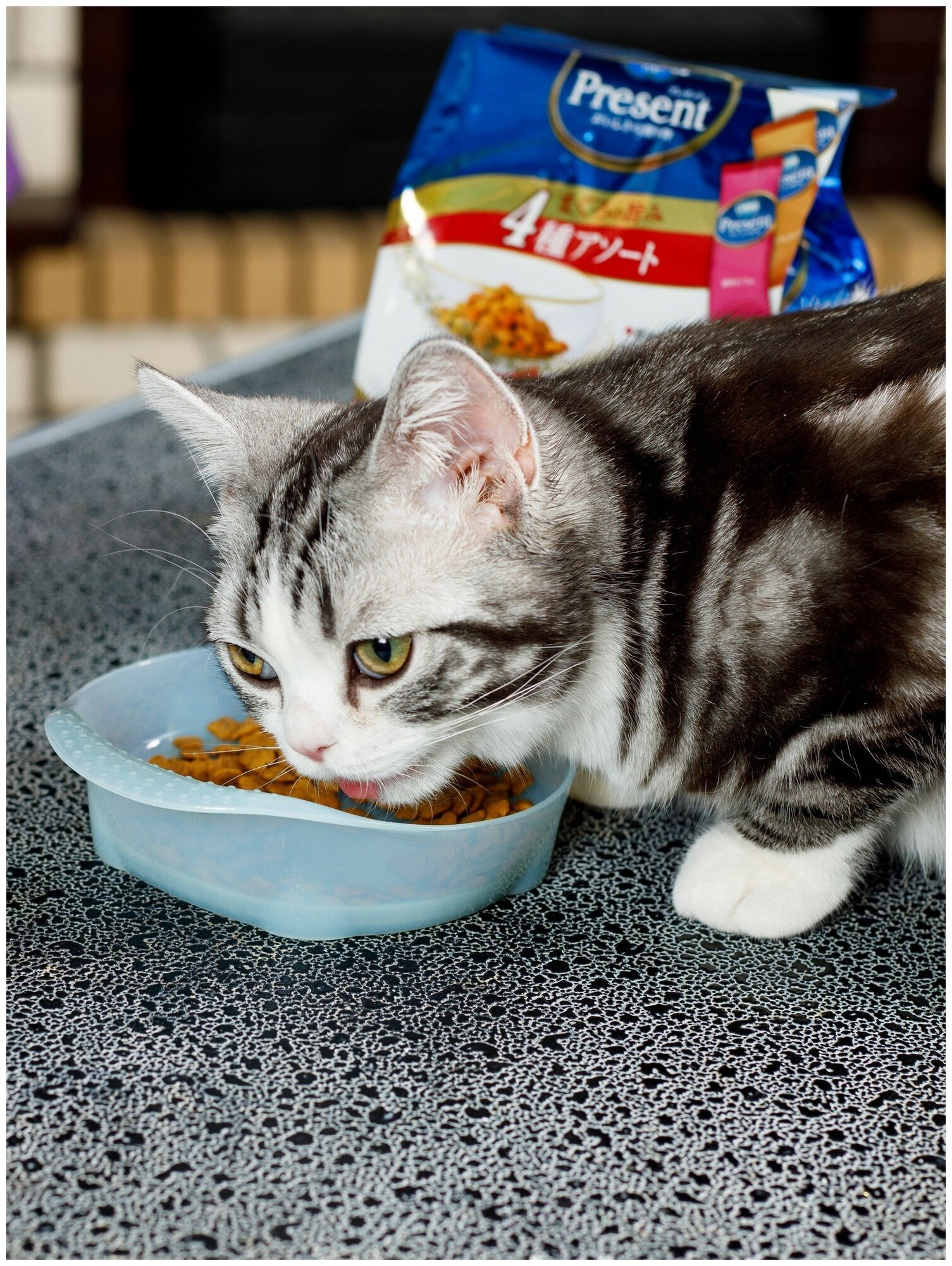 Лакомство Japan Premium Pet PRESENT для взрослых кошек с содержанием олигосахаридов для поддержания здорового пищеварения, 240 г - фотография № 6