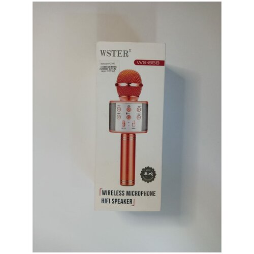 микрофон Wster 230000₽