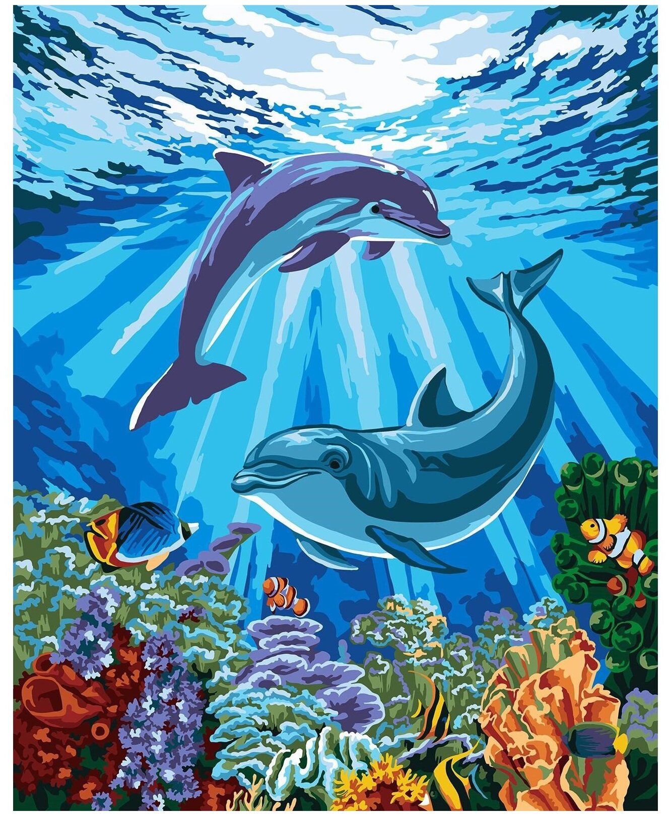 Школа талантов картина по номерам Дельфины-друзья