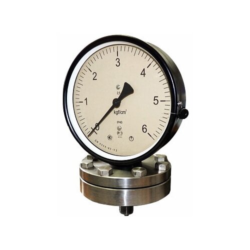 Манометры коррозионностойкие ДМ8009-Кс с мембранным разделителем сред