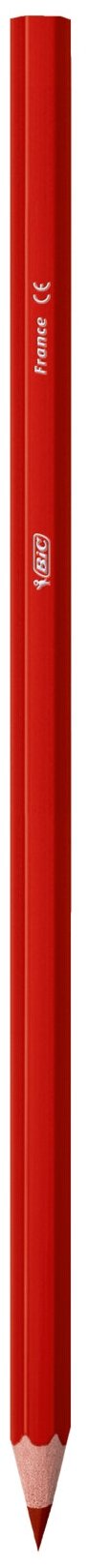 Карандаши цветные Bic Тропикулер 2 12 цв. пластик. - фото №5