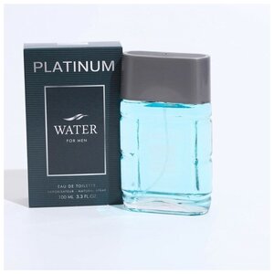 Туалетная вода мужская Platinum Water, 100 мл 7787414