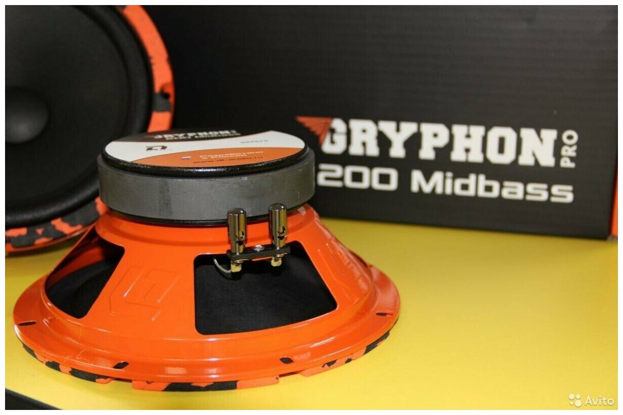 А/с DL Audio Gryphon Pro 200 Midbass