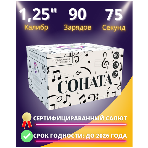 Салют фейерверк 90 больших залпов 