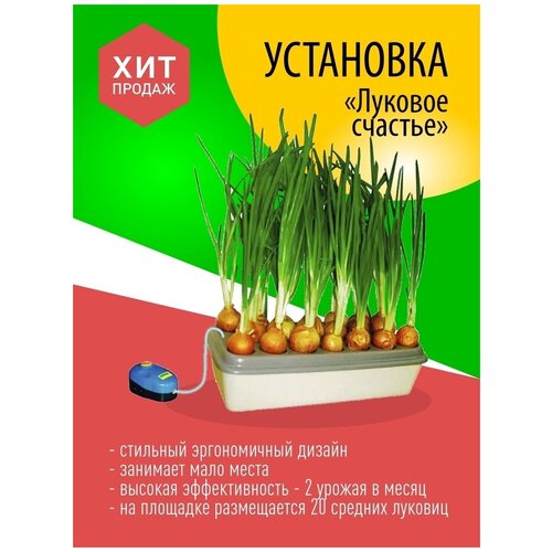 Луковое Счастье чудо гидропоника для выращивания зёлёного лука на подоконнике
