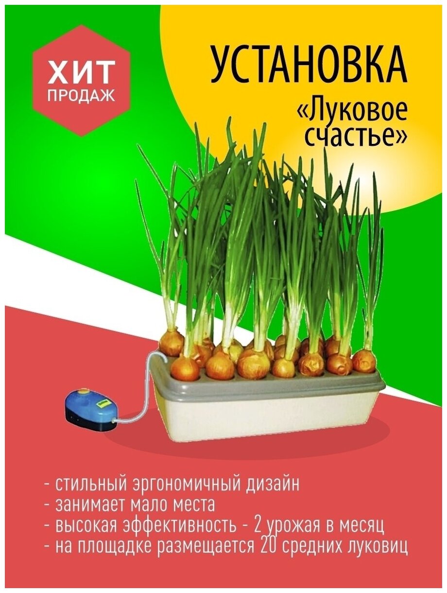 Луковое Счастье гидропоника для выращивания зёлёного лука на подоконнике - фотография № 13
