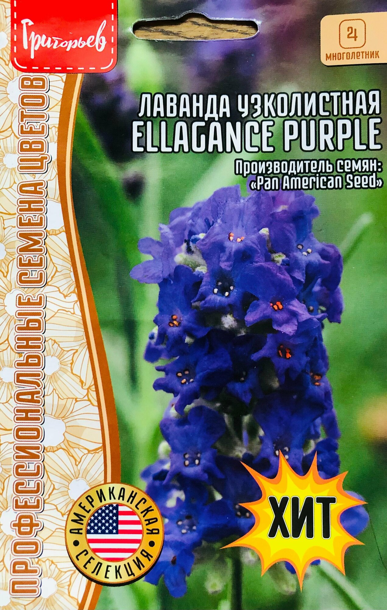 Семена Лаванды узколистной компактной "Ellagance Purple" (5 семян)
