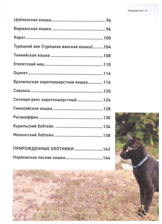 Все породы кошек. Большая иллюстрированная энциклопедия - фото №5