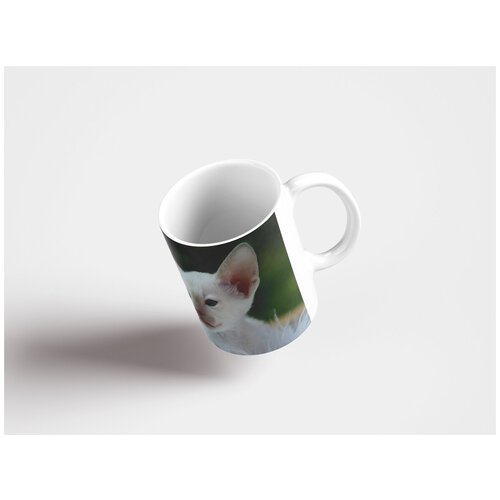 фото Кружка "кот, котенок, сиамский 320 мл. белая" lotsprints