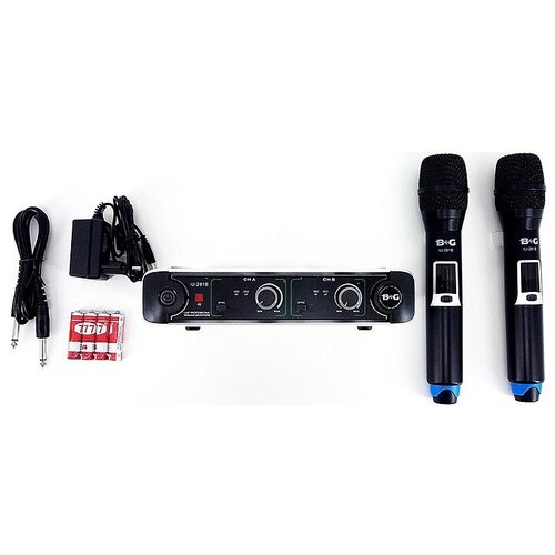 Радиосистема на два микрофона B G IU-281B 934800₽