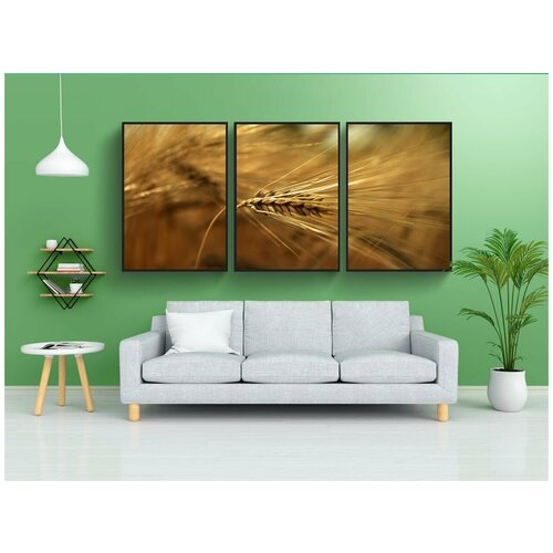 фото Набор модулных постеров для интерьера "ячмень, зерно, ухо" 60x90 см. в тубусе, без рамки lotsprints