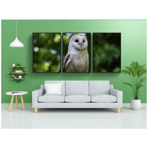 фото Набор модулных постеров для интерьера "обыкновенная сипуха, сова, сарай" 60x90 см. в тубусе, без рамки lotsprints