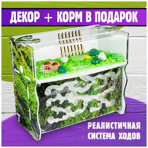 Муравьиная ферма для муравьев / формикарий Level