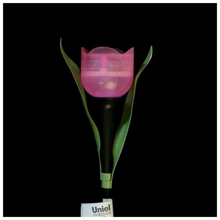 Садовый светильник UNIEL UL-00004276 USL-C-451/PT305 на солнечной батарее, розовый тюльпан - фотография № 18